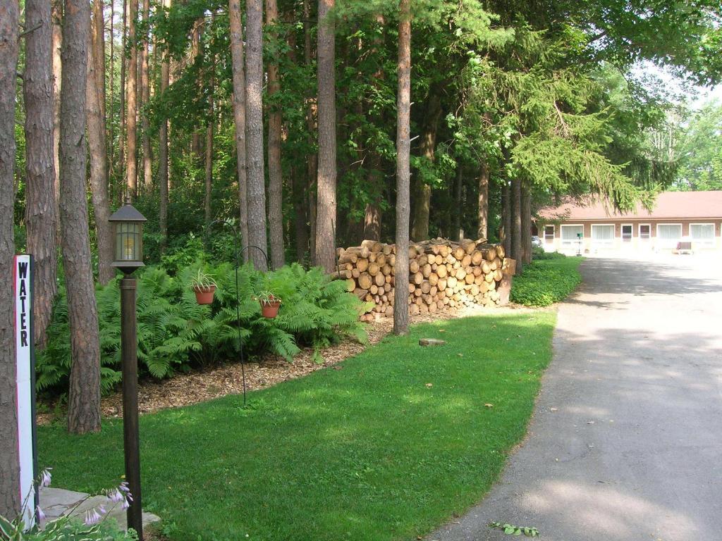 Forest Motel & Woodland Retreat Стратфорд Екстер'єр фото