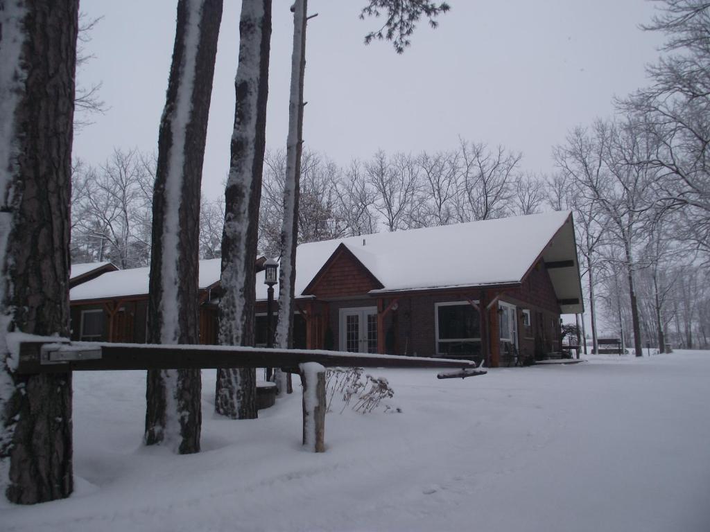 Forest Motel & Woodland Retreat Стратфорд Екстер'єр фото
