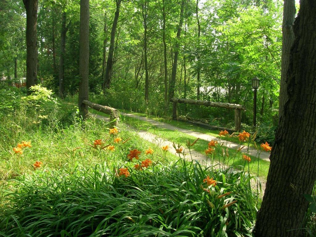 Forest Motel & Woodland Retreat Стратфорд Екстер'єр фото