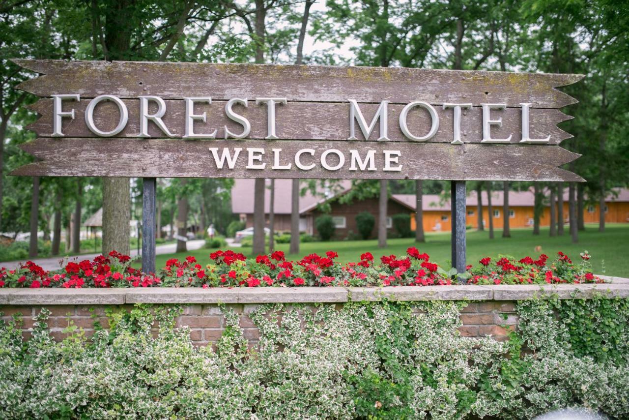 Forest Motel & Woodland Retreat Стратфорд Екстер'єр фото