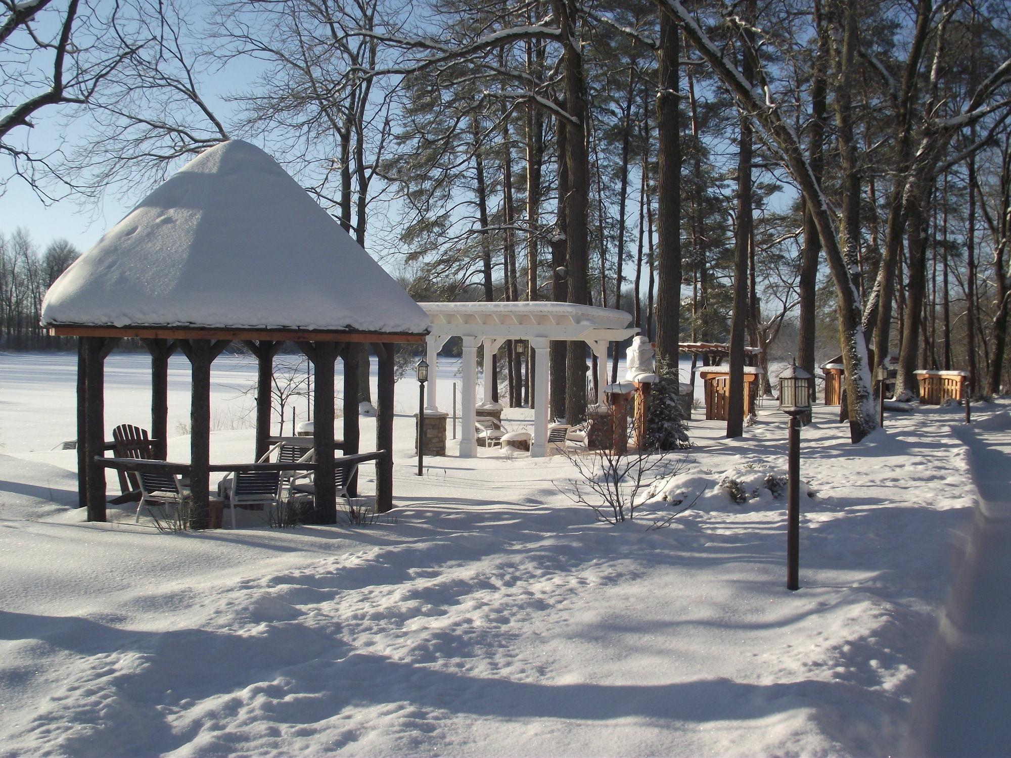 Forest Motel & Woodland Retreat Стратфорд Екстер'єр фото