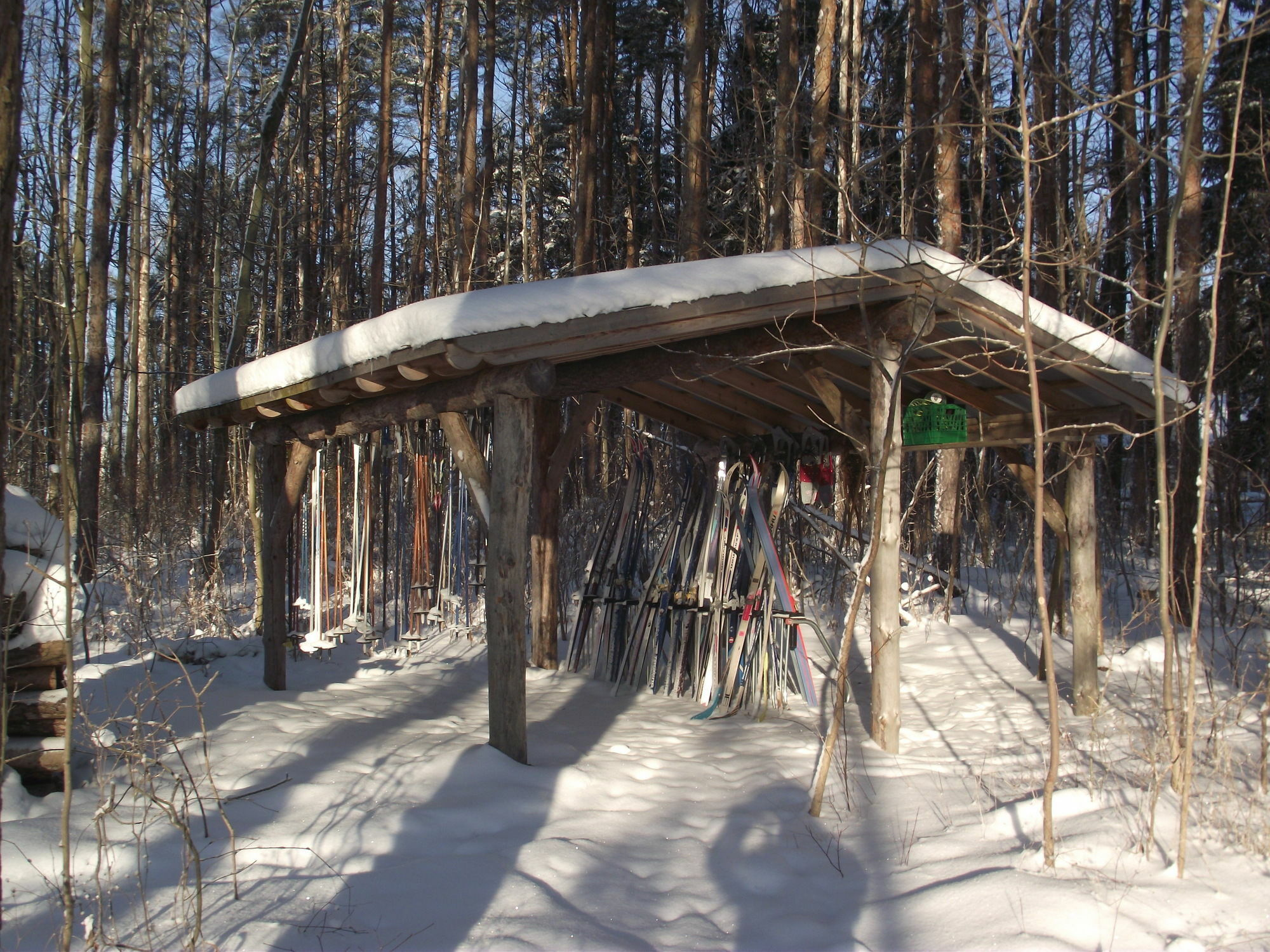 Forest Motel & Woodland Retreat Стратфорд Екстер'єр фото