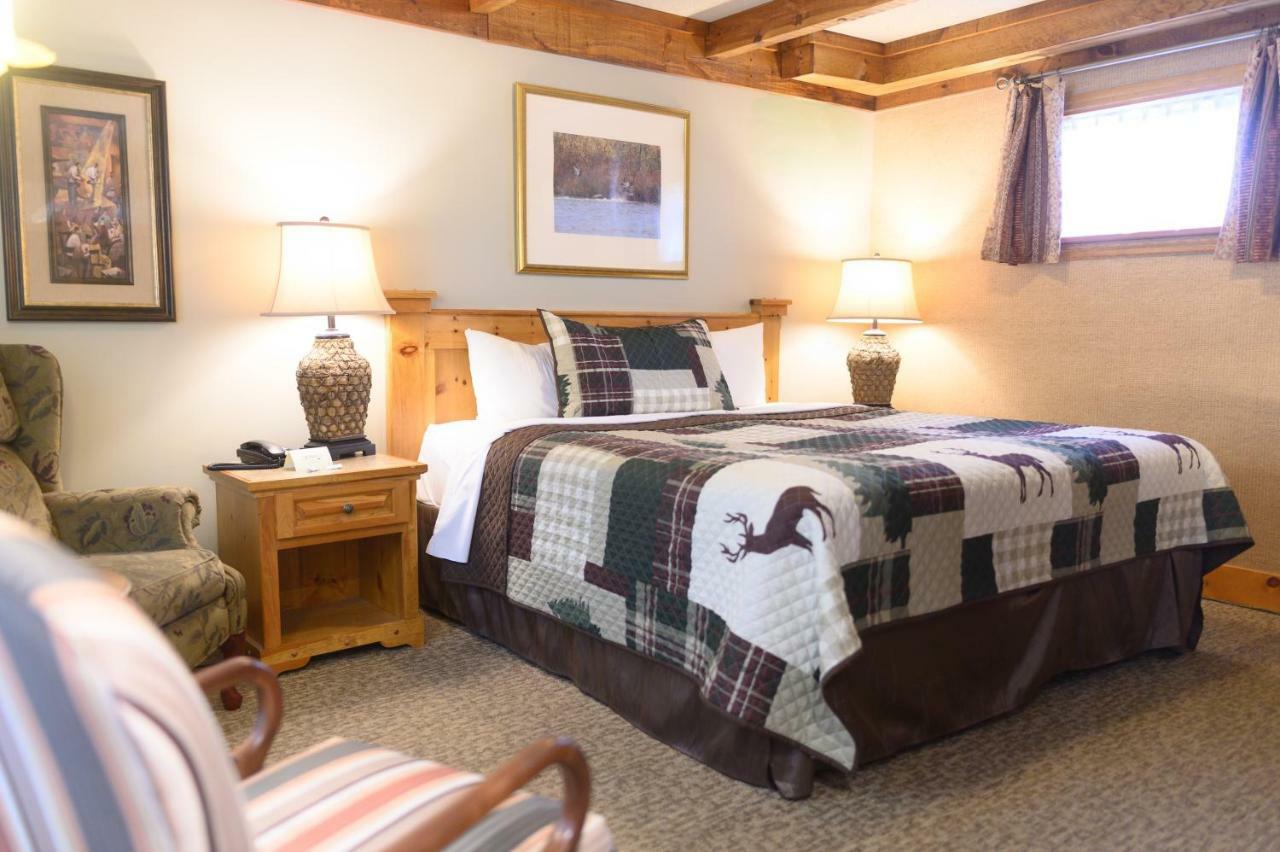 Forest Motel & Woodland Retreat Стратфорд Екстер'єр фото